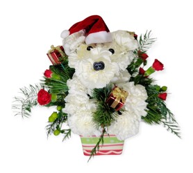 Santa Pup from Flowers by Ramon of Lawton, OK