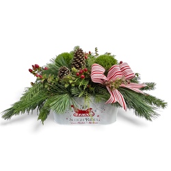 Sleigh Ride Evergreens from Flowers by Ramon of Lawton, OK