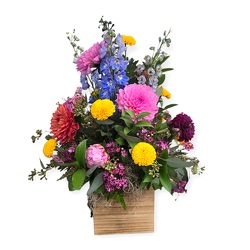 Southern Beauty from Flowers by Ramon of Lawton, OK