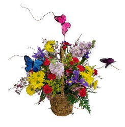 Spring Whispers Basket from Flowers by Ramon of Lawton, OK