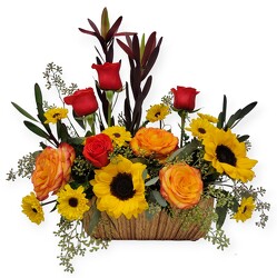 Sunflower Harvest from Flowers by Ramon of Lawton, OK