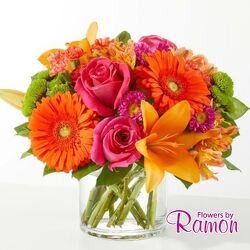 Sunset Kiss from Flowers by Ramon of Lawton, OK
