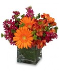 FLORAL EXUBERANCE from Flowers by Ramon of Lawton, OK