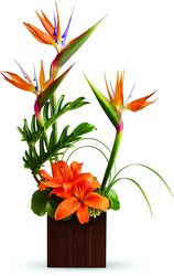 Tropical Birds from Flowers by Ramon of Lawton, OK