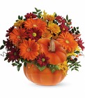 Teleflora's Country Pumpkin from Flowers by Ramon of Lawton, OK