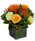 Tropical Sophistication from Flowers by Ramon of Lawton, OK