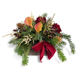 Velvet & Evergreens from Flowers by Ramon of Lawton, OK