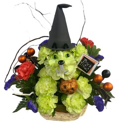 Witchy Pooch from Flowers by Ramon of Lawton, OK
