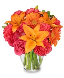 Feeling Hot! Hot! Hot! from Flowers by Ramon of Lawton, OK