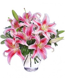 STUNNING STARGAZERS from Flowers by Ramon of Lawton, OK