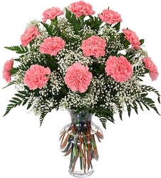 Classic Dozen Carnations with Babies Breath from Flowers by Ramon of Lawton, OK