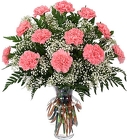 Classic Dozen Carnations with Babies Breath from Flowers by Ramon of Lawton, OK