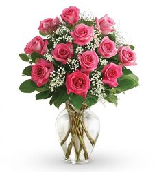Dozen Hot Pink Roses with Babies Breath from Flowers by Ramon of Lawton, OK
