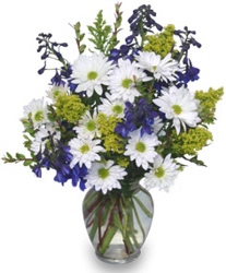 Lazy Daisy & Delphinium from Flowers by Ramon of Lawton, OK