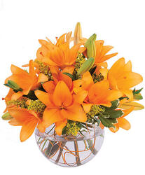 Orange Lily Sorbet from Flowers by Ramon of Lawton, OK