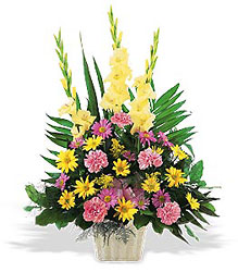 Warm Thoughts Arrangement from Flowers by Ramon of Lawton, OK
