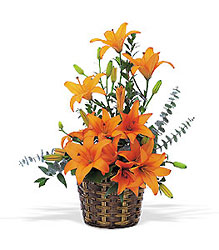 Asiatic Lilies from Flowers by Ramon of Lawton, OK