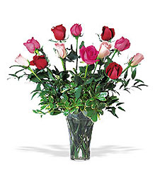 A Dozen Multi-colored Roses from Flowers by Ramon of Lawton, OK