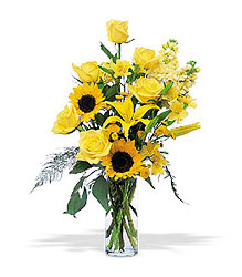 Blazing Sunshine from Flowers by Ramon of Lawton, OK